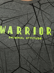 Camiseta de hombre grafita OZONEE JS/SS10935