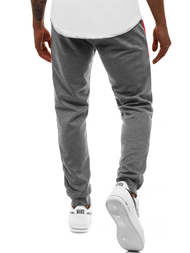 Pantalón de chándal de hombre grafito OZONEE JS/JZ11026