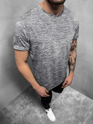 Camiseta de hombre gris OZONEE JS/S01Z