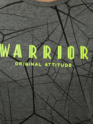 Camiseta de hombre grafita OZONEE JS/SS10935Z